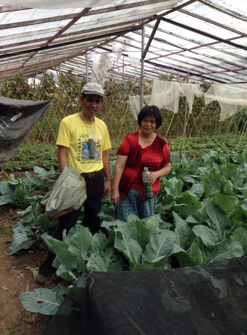 Galvey farm handpicking worms to feed their compost