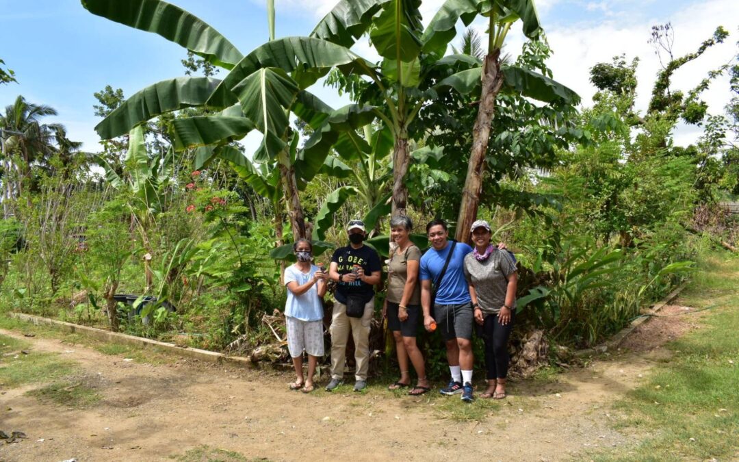 Reflecting On Our Visit To Cebu, Discovering Regenerative Agriculture