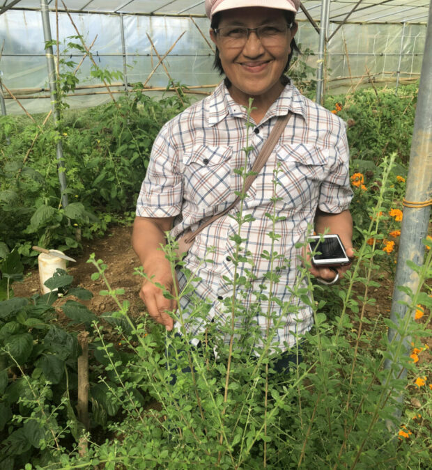 Farmer Letty Bisco On Her Experience As A Woman Farmer