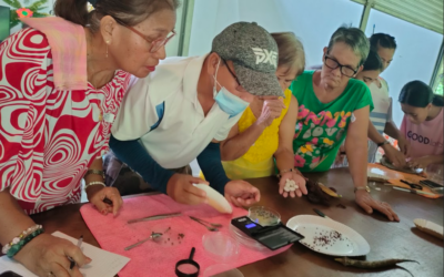 Seed School 2: Cultivating Organic Farming and Seed Sovereignty on Bantayan Island