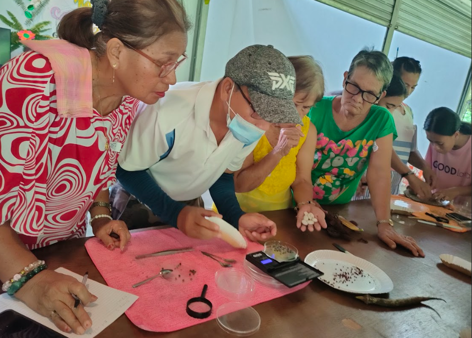 Seed School 2: Cultivating Organic Farming and Seed Sovereignty on Bantayan Island